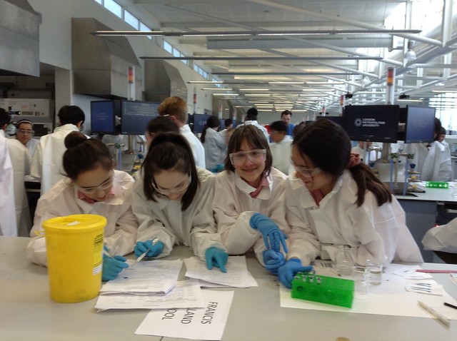 Salters Institute Festival of Chemistry 2019