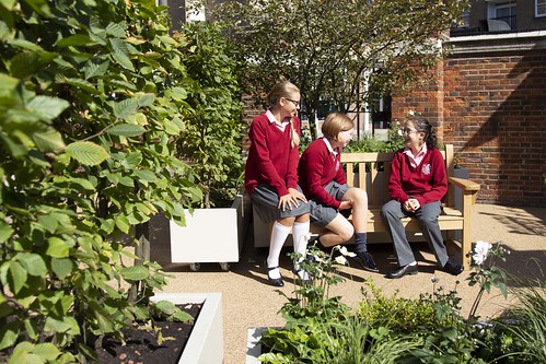 Courtyard Garden