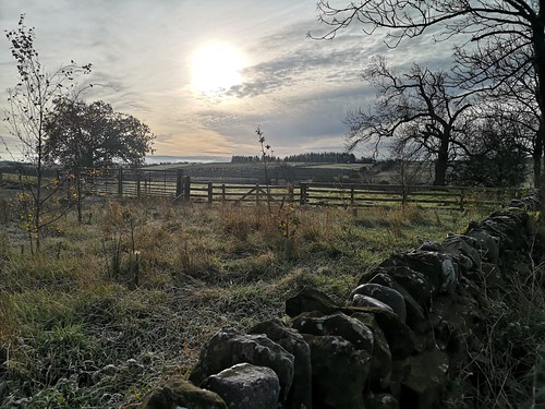 Classics trip to Hadrian's Wall